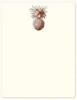 Alexa Pulitzer Pineapple Notecards